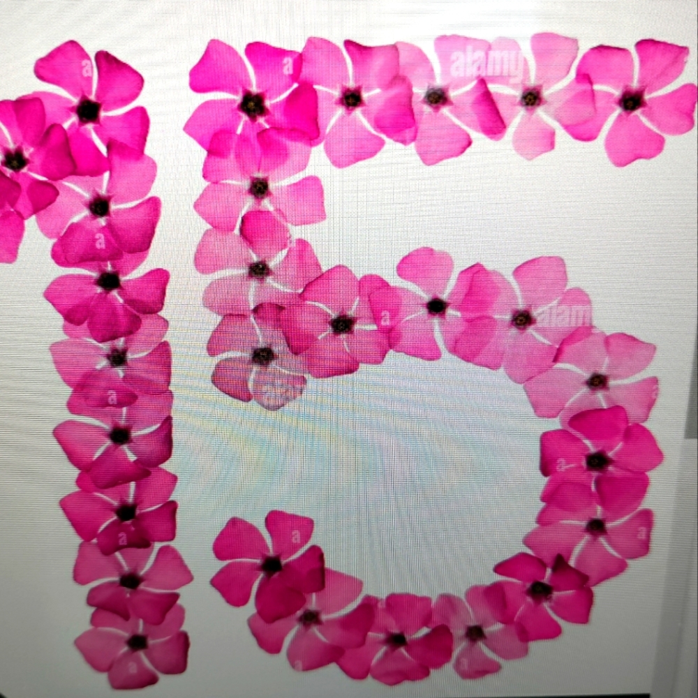 Live MST $15 Womens XS-Plus Live Show Unlisted Items.
